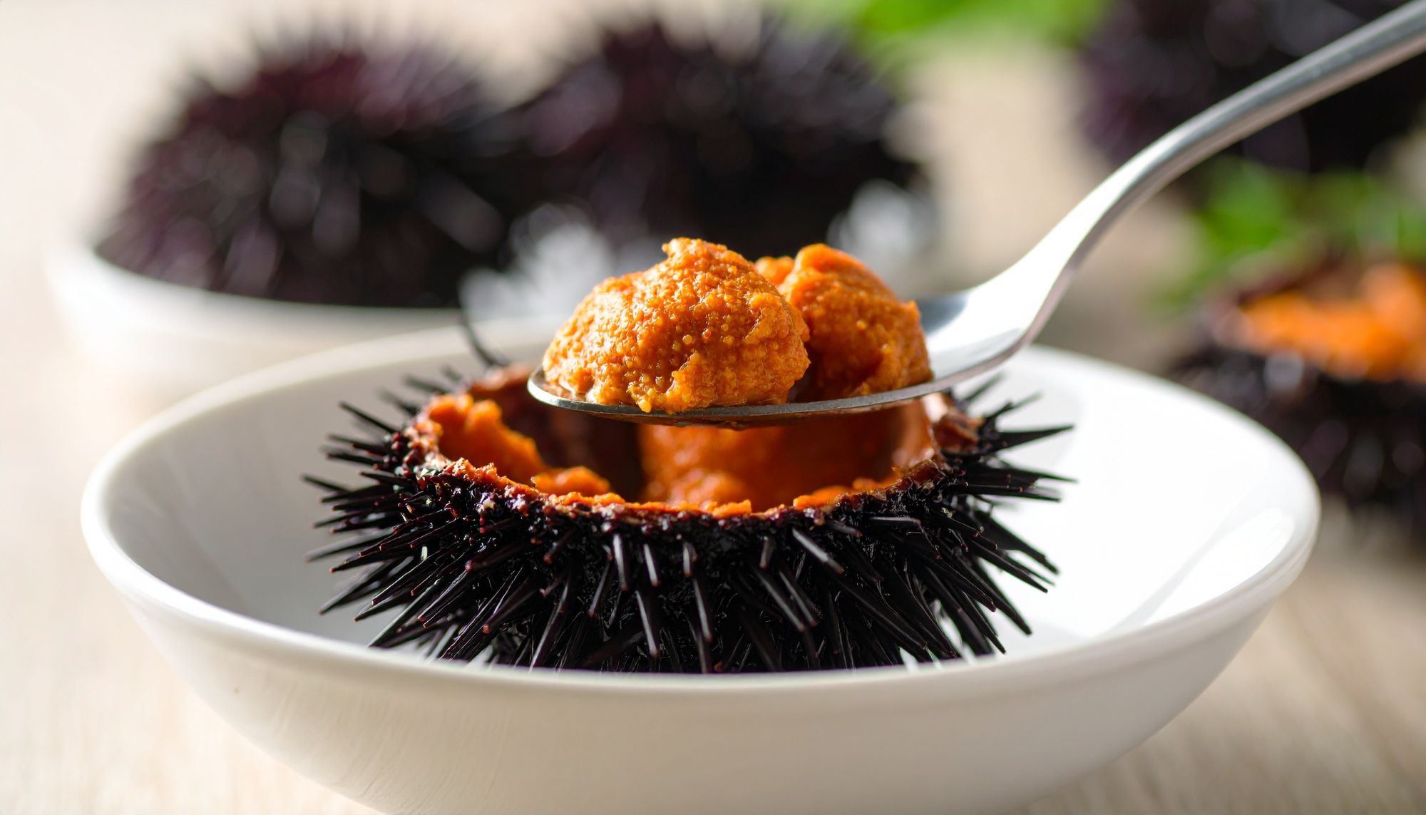 主要ビジュアル2