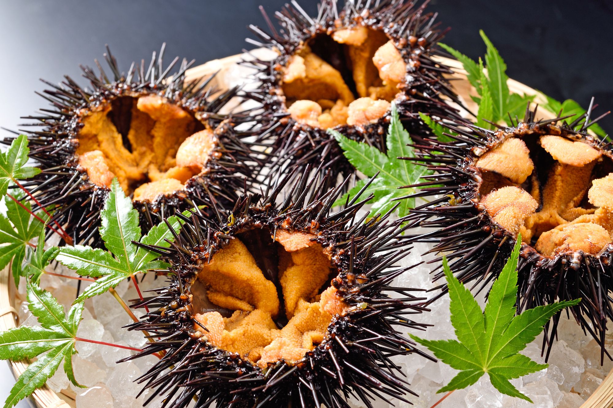 主要ビジュアル3